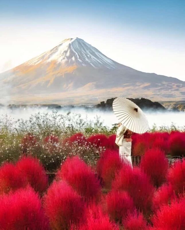 From Tokyo: Mount Fuji Customizable Guided Full Day Tour - FAQ