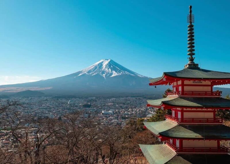 From Tokyo: Mount Fuji Customizable Guided Private Tour - Why This Tour Offers Great Value