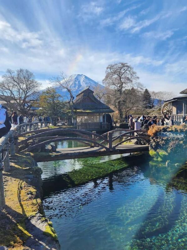 From Tokyo: Mount Fuji Customizable Guided Private Tour - Introducing this Mount Fuji experience