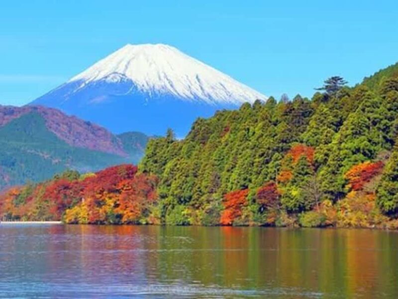 From Tokyo: Mount Fuji Customizable Private Tour with Driver - Experience the Best of Mount Fuji on a Private Day Tour from Tokyo