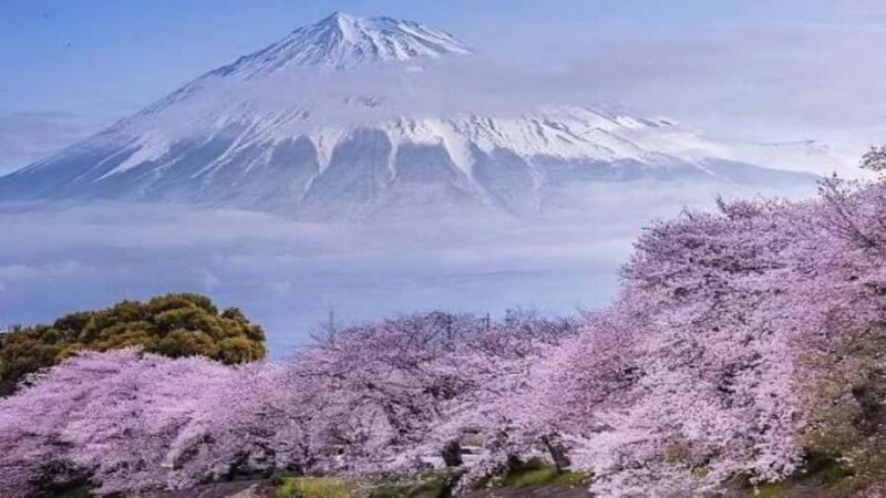 From Tokyo: Mount Fuji Customizable Private Tour with Guide - Final Thoughts