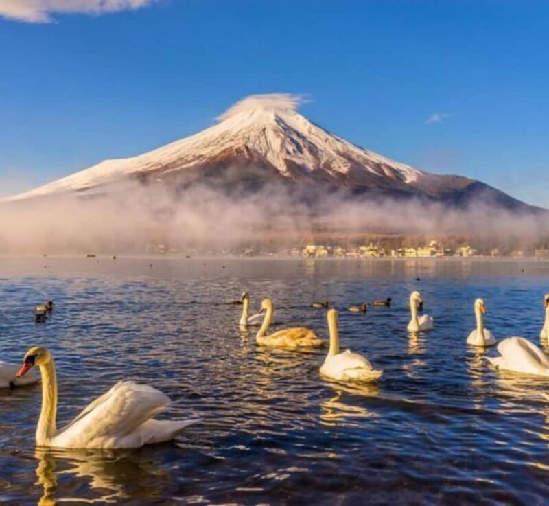 From Tokyo: Mount Fuji customizable Private Tour with Guide - The Sum Up