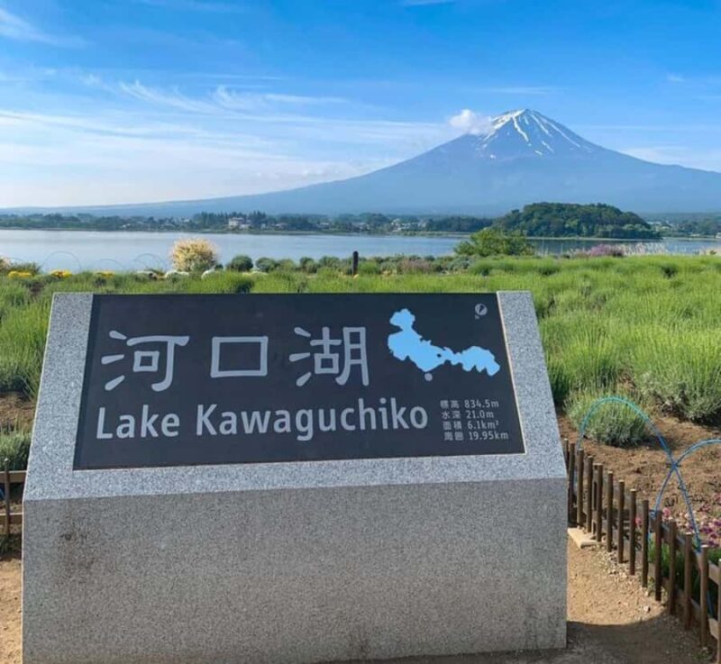From Tokyo: Mount Fuji customizable Private Tour with Guide - Good To Know
