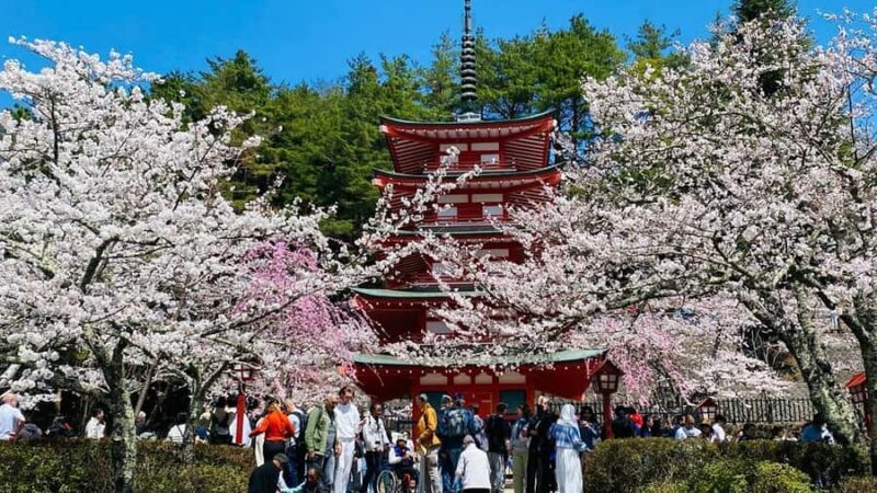 From Tokyo : Mount Fuji Customizable tour in private car - Good To Know