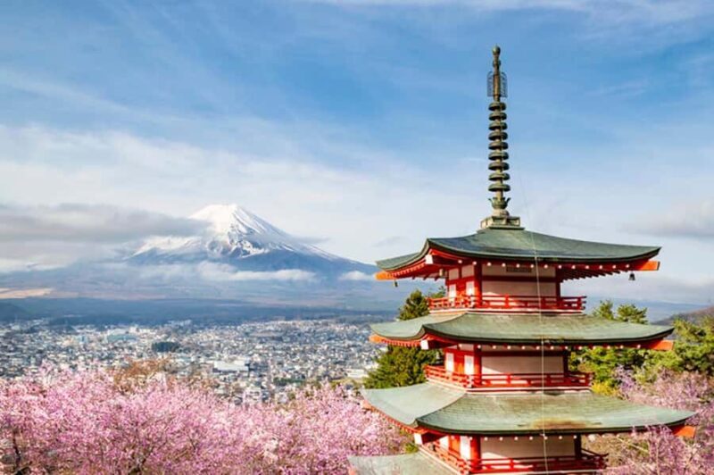 From Tokyo : Mount Fuji Customizable tour in private car - The Allure of a Private Mount Fuji Day Trip