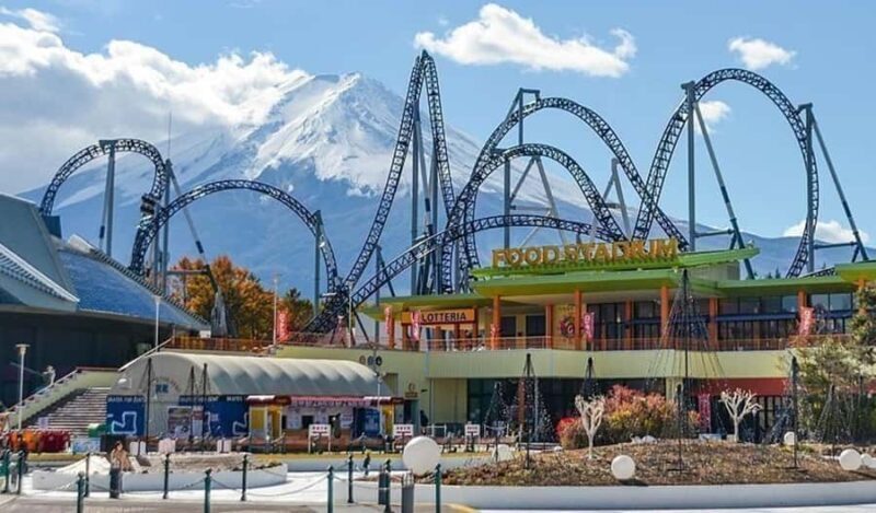 From Tokyo : Mount Fuji Customizable tour in private car - Who Should Book This Tour?