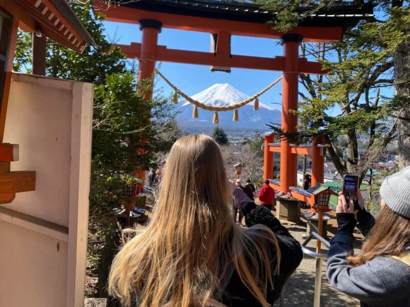 From Tokyo: Mount Fuji Customized Tour With Guide - Who Would Love This Tour?