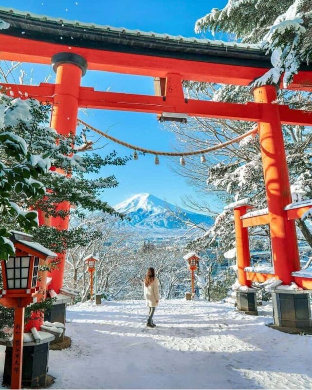 From Tokyo: Mount Fuji Customized Tour With Guide - The Sum Up