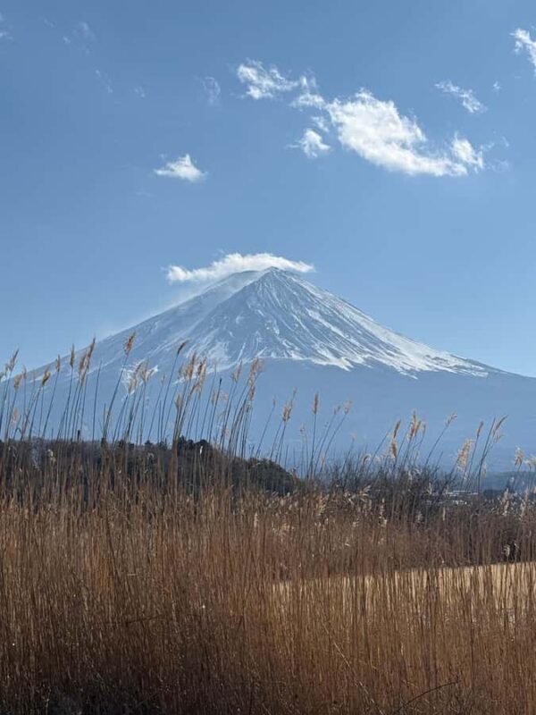 From Tokyo: Mount Fuji Customized Tour With Guide - FAQ