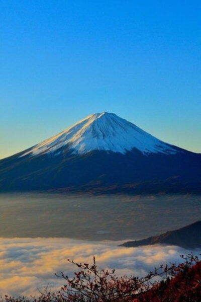 From Tokyo: Mount Fuji Day Trip By English Speaking Driver - Optional Stop at Gotemba