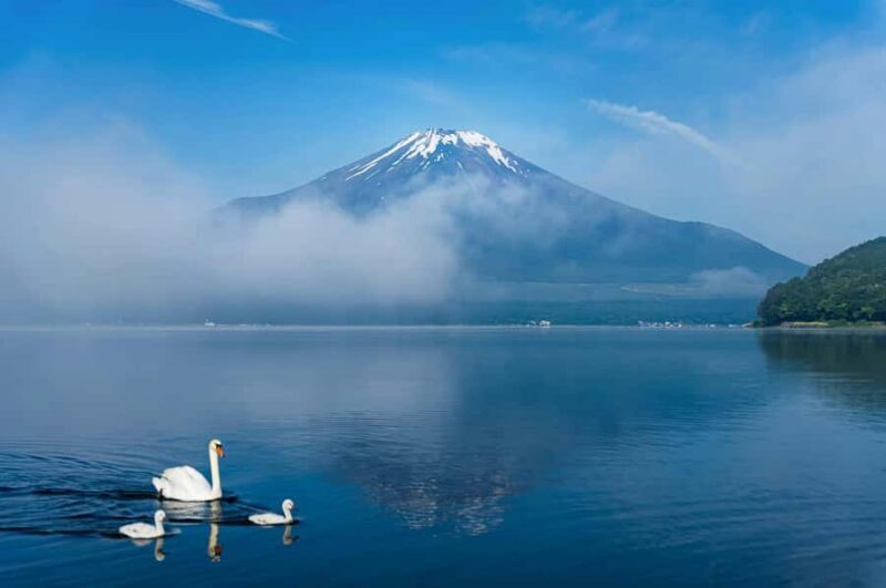 From Tokyo: Mount Fuji Day Trip  Private & Customizable - Good To Know