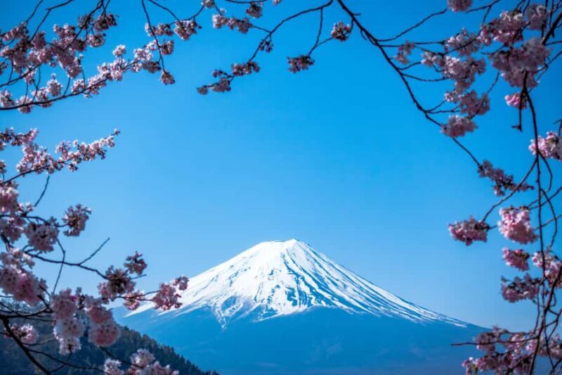 From Tokyo: Mount Fuji Day Trip  Private & Customizable - The Value and Who It’s Perfect For