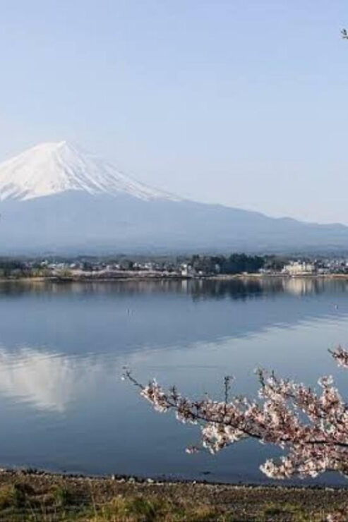 From Tokyo: Mount Fuji Day Trip - Good To Know