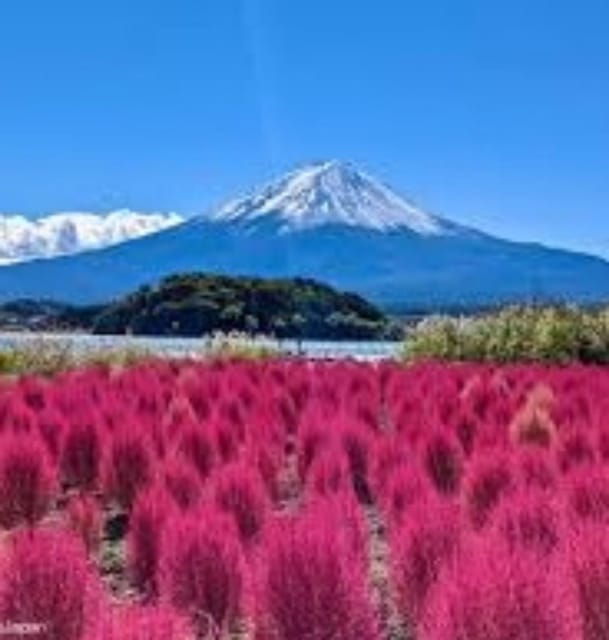 From Tokyo: Mount Fuji Day Trip - Transportation Options