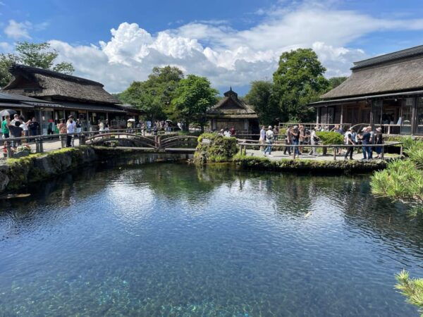FROM TOKYO: MOUNT FUJI DAY TRIP WITH ENGLISH SPEAKING DRIVER - Inclusions and Requirements