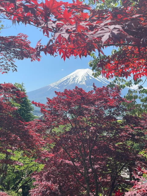 From Tokyo: Mount Fuji Day Trip With English Speaking Driver - Tour Exclusions
