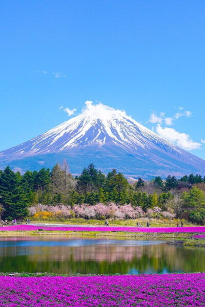 From Tokyo: Mount Fuji Day Trip With English Speaking Driver - Important Information