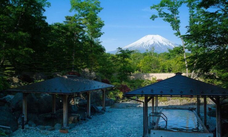 From Tokyo: Mount Fuji Day Trip With Yamanakako Hot Springs - Activity Details