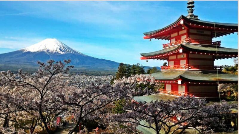 From Tokyo: Mount Fuji Full Day Customizable Private Tour - FAQ
