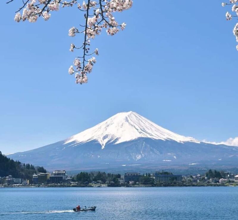 From Tokyo: Mount Fuji Full Day Customizable Private Tour - A Detailed Look at the Tour Experience
