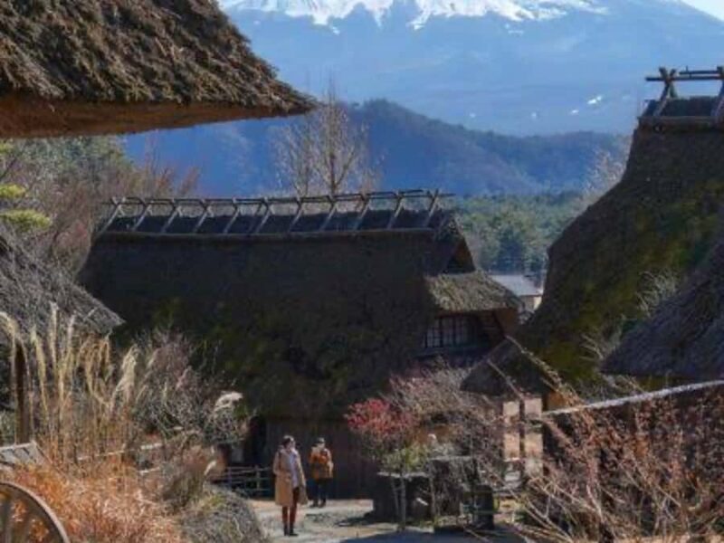 From Tokyo: Mount Fuji Full Day Customizable Private Tour - Good To Know