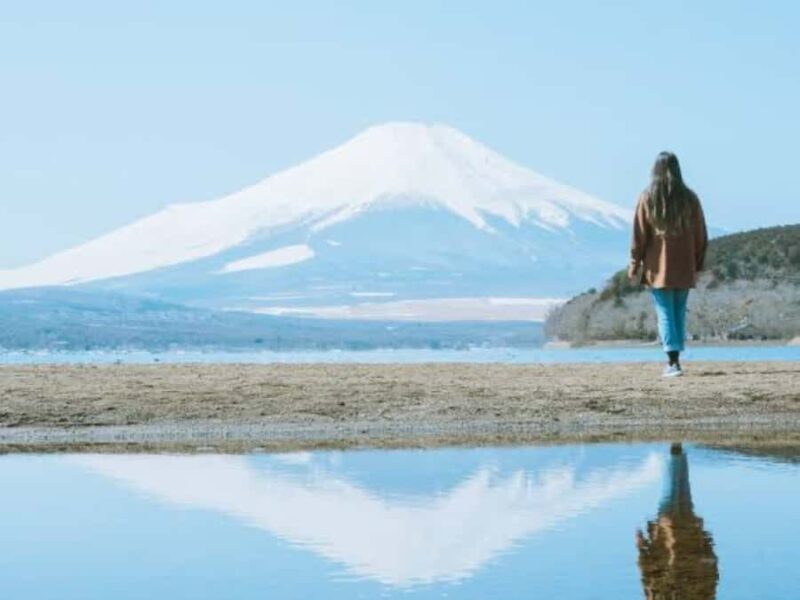 From Tokyo: Mount Fuji Full Day Customizable Private Tour - Why You’ll Love This Tour