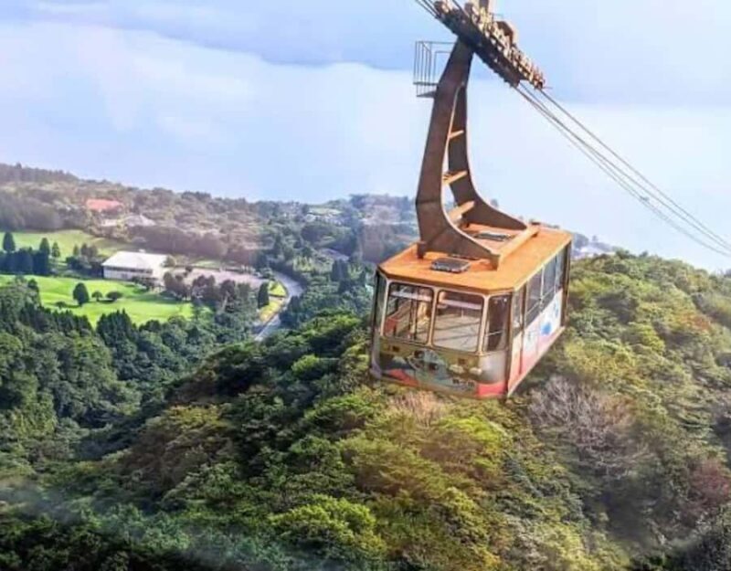 From Tokyo: Mount Fuji Full Day Customizable Private Tour - Transportation & Logistics: What to Expect