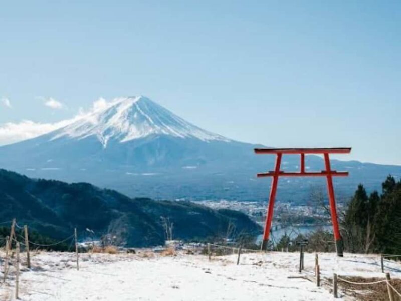 From Tokyo: Mount Fuji Full Day Customizable Private Tour - Pricing & Value
