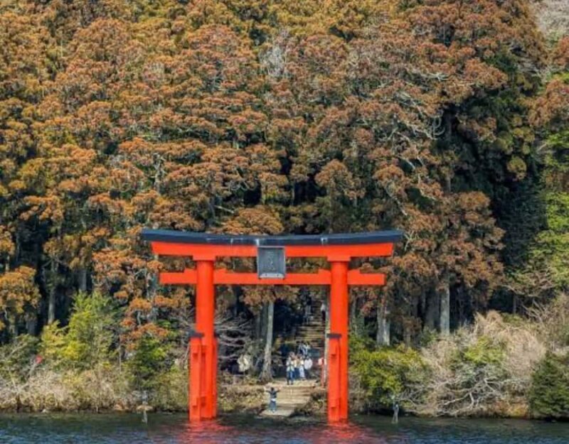 From Tokyo: Mount Fuji Full Day Customizable Private Tour - The Sum Up