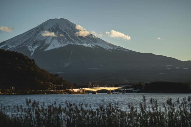 From Tokyo: Mount Fuji Full-Day Customizable & Private Tour - Who Should Consider This Tour?