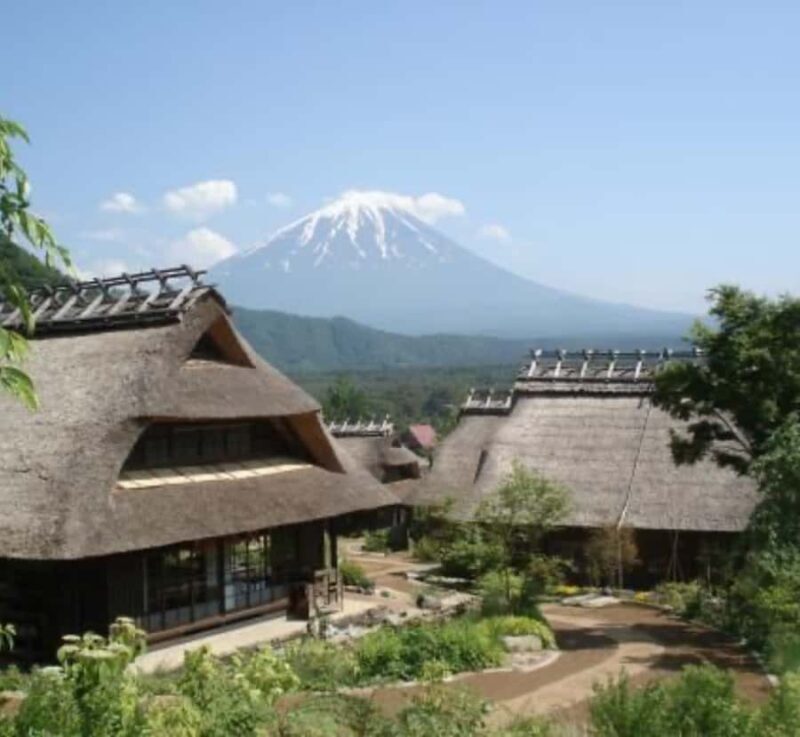 From Tokyo: Mount Fuji Full Day Customizable Private Tour - Who Is This Tour Best For?