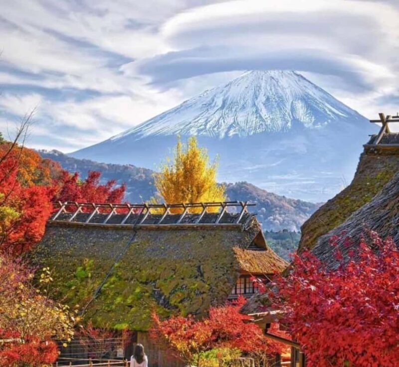 From Tokyo: Mount Fuji Full Day Customizable Private Tour - FAQs
