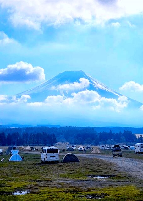 From Tokyo: Mount Fuji Full Day Customizable Private Tour - An In-Depth Look at the Tour