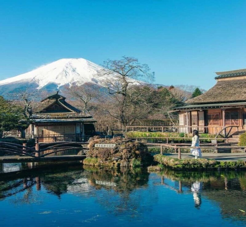 From Tokyo: Mount Fuji Full Day Customizable Tour with Guide - Experience Overview