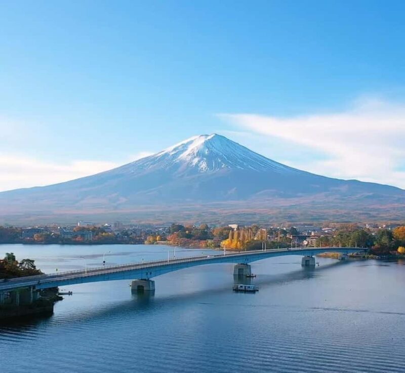 From Tokyo: Mount Fuji Full Day Customizable Tour with Guide - Comfort and Logistics 