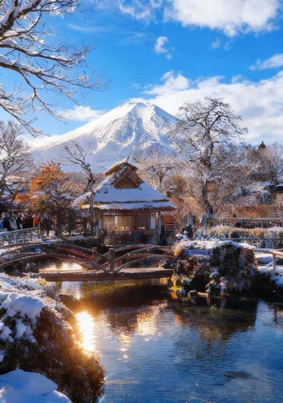 From Tokyo: Mount Fuji Full Day Customize Private Tour - Who Is This Tour Best For?