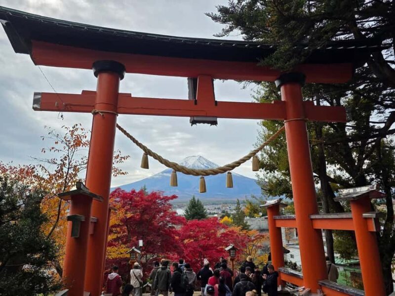 From Tokyo: Mount Fuji Full Day Customize Private Tour - The Sum Up