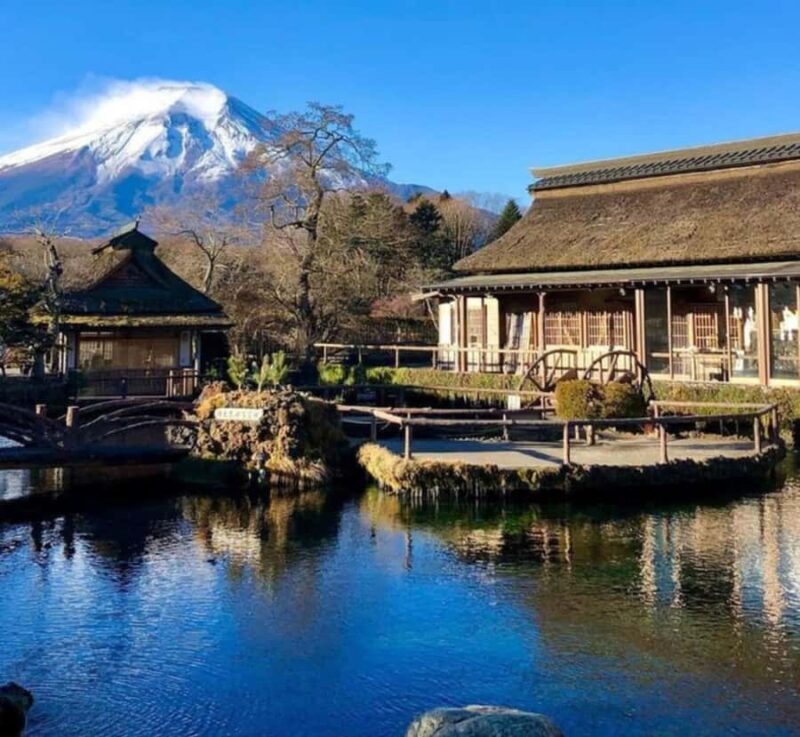 From Tokyo: Mount Fuji Full Day Customized Private Tour - A Mix of Serenity and Adventure