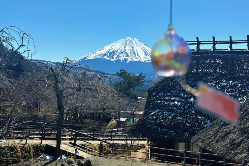 From Tokyo: Mount Fuji Full Day Customized Private Tour 9pax - Experience Review: From Tokyo – Mount Fuji Full Day Customized Private Tour for 9 People