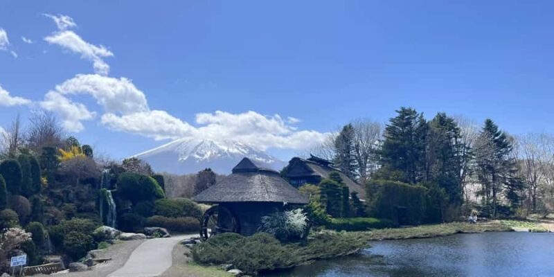 From Tokyo: Mount Fuji Full Day Customized Private Tour 9pax - Final Thoughts