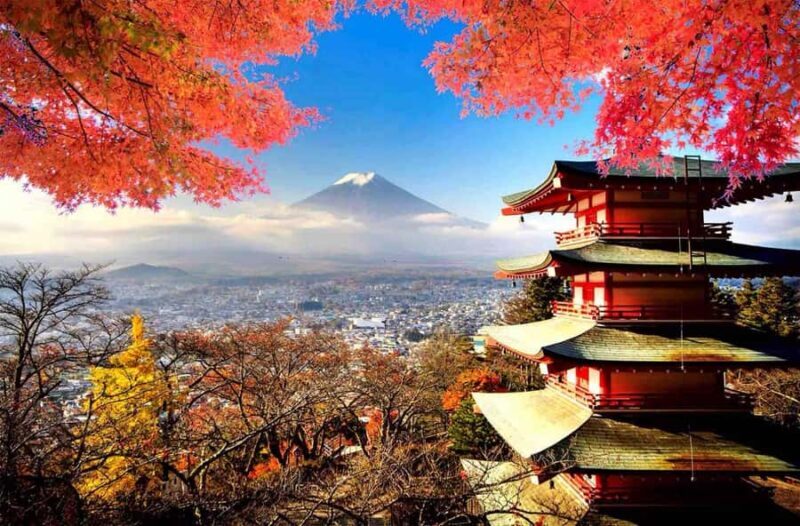 From Tokyo: Mount Fuji Full Day Private & Customizable Tour - What to Expect on the Day