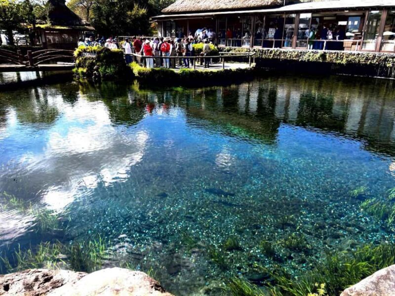 From Tokyo: Mount Fuji Full Day Private & Customizable Tour - FAQs