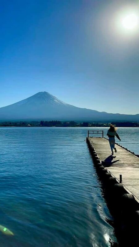 From Tokyo: Mount Fuji Full Day Private Customizable Tour - Who Will Love This Tour?