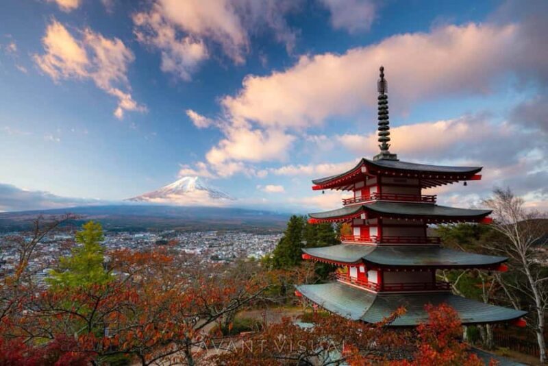 From Tokyo: Mount Fuji Full Day Private & Customizable Tour - An In-Depth Look at the Mount Fuji Full Day Tour