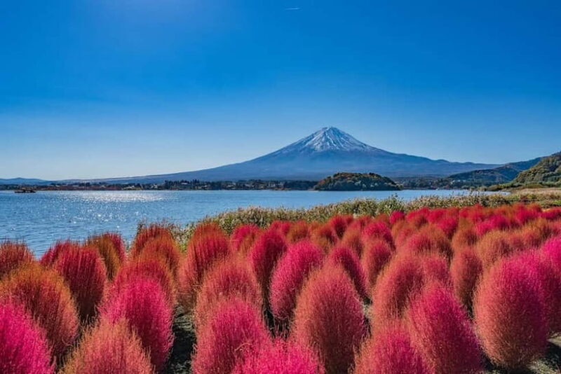 From Tokyo: Mount Fuji Full Day Private Customizable Tour - Good To Know