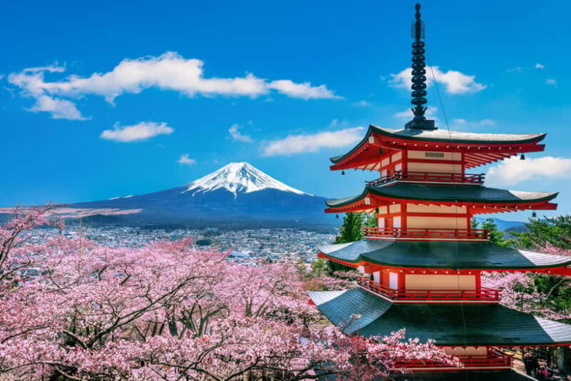 From Tokyo: Mount Fuji Full Day Private Customizable Tour - Authentic Experiences and Local Insights