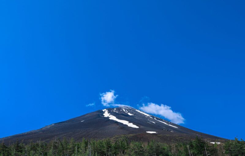 From Tokyo: Mount Fuji Full-Day Private Sightseeing Tour - Price and Value