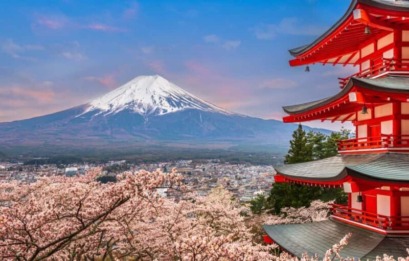 From Tokyo: Mount Fuji Full-Day Private Sightseeing Tour - Final Thoughts
