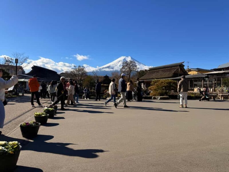From Tokyo: Mount Fuji Full-Day Private Sightseeing Tour - Who Is This Tour Best Suited For?