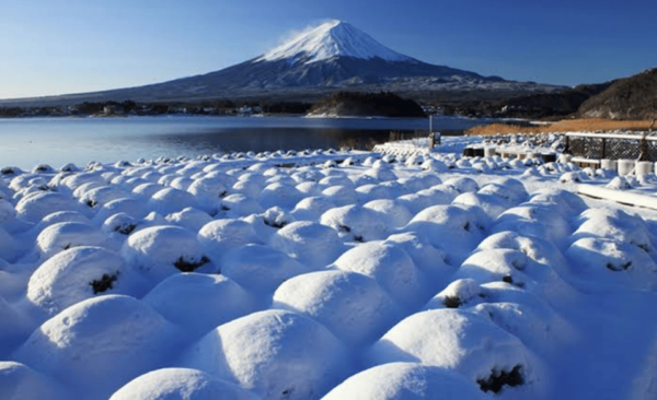 From Tokyo: Mount Fuji Full Day Private Tours English Driver - Travel Tips